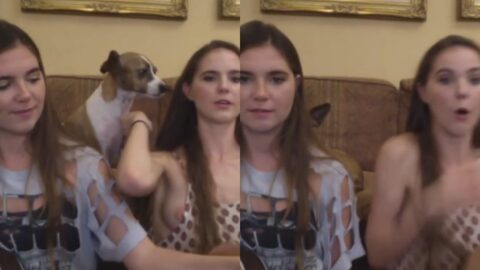 Nina Nelson Nipple Slip YouTube en vivo