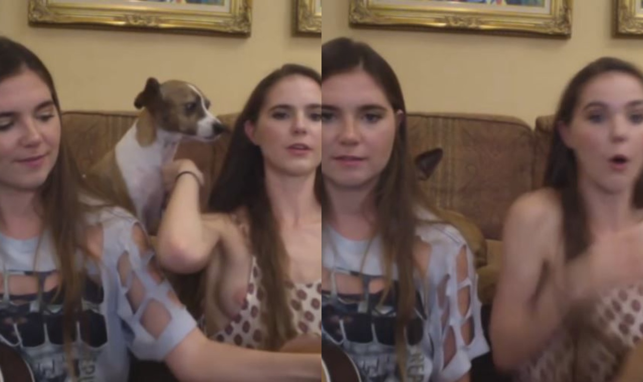 Nina Nelson Nipple Slip YouTube en vivo